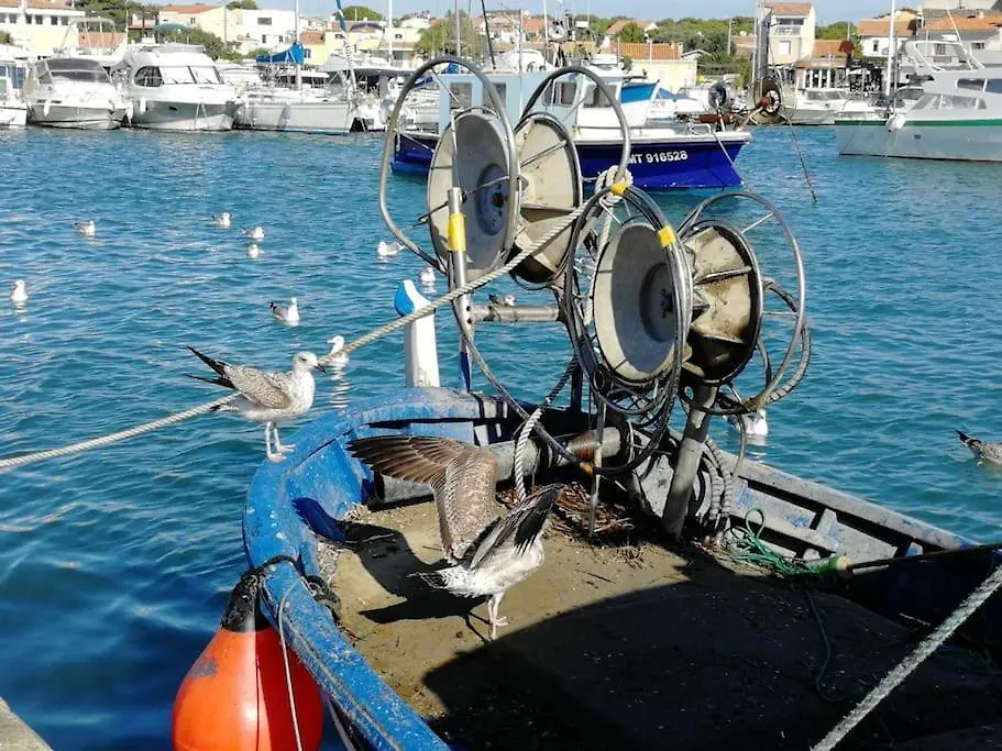 T3- Vue Mer - Plage 50 M Martigues