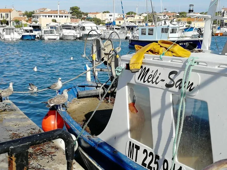 T3- Vue Mer - Plage 50 M Martigues France